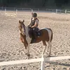 erantoila