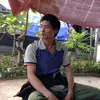 triu.vn.hong291
