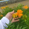 karsinikevin623