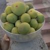 hamzaoui.farid0