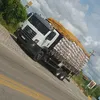 henriquemartins593