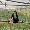 trucuyen254