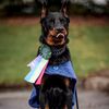 amourthebeauceron