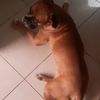 lejoao5714