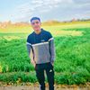 yazedmohamed14