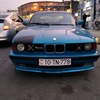 bmw34mydear