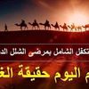 mohamedmoukar312