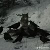 jaycr02