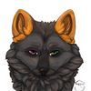 jae._.fox
