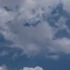 _kunisa