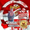 g.a.t.i..r3.penase