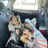 jenniferfeeley4719