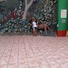 rossyacostachiroque