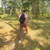 calss_ciro