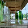 gaweeceran