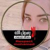 ayasmahmoud983
