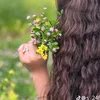 shams5576
