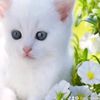 .harizhakimi
