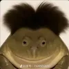 sieu_honghot