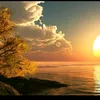 raed_240