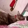 elizabethjosefa80