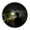 _vishmika_vihaga_