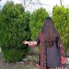 arshadmehmood8762