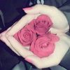 dyyyr497s0iy