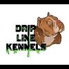 driplinekennels