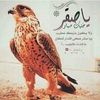yassergabr12
