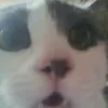 lliiniu
