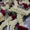 _4519aboahmad1