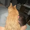 kj._o6