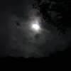 jeitosimples.comtiktok