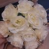 xx_haneen_mido_xx