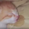 nnnnnnseiiiiii