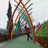nengcikal158