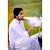 hammadshah12002