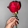rabiahadawiey9895