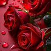 user6232101211034