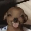 tthanhnguyen05