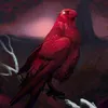 redraider5145