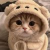 aina.ayesha2