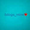 5dogs_mine