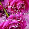 user88555720997612