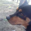 cicciobarbaro88