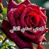 omamrmohammed