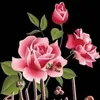 alanibrahim577