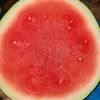 melonboimadness