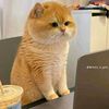 needboyfriend35